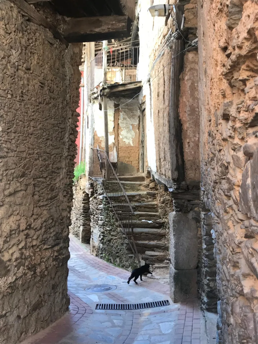 Pueblo Casar de Palomero