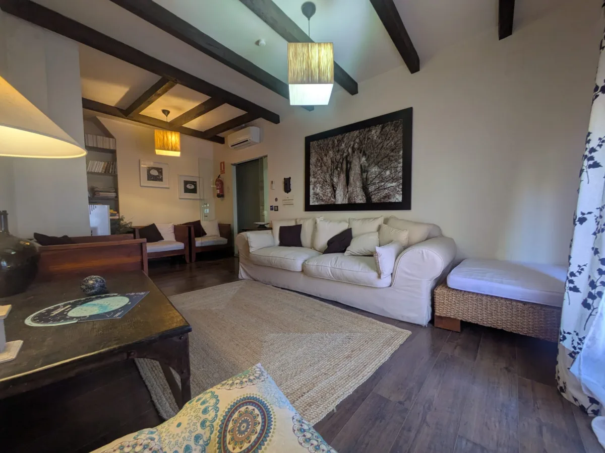 Salón común sofá vigas panorámica